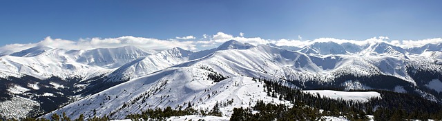 zimní panorama